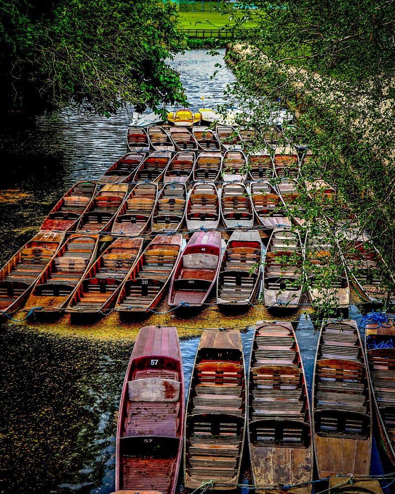 Rowboats