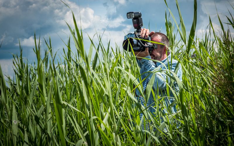 Festival photographer