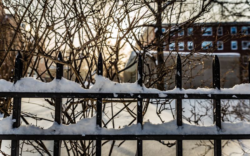 Snow