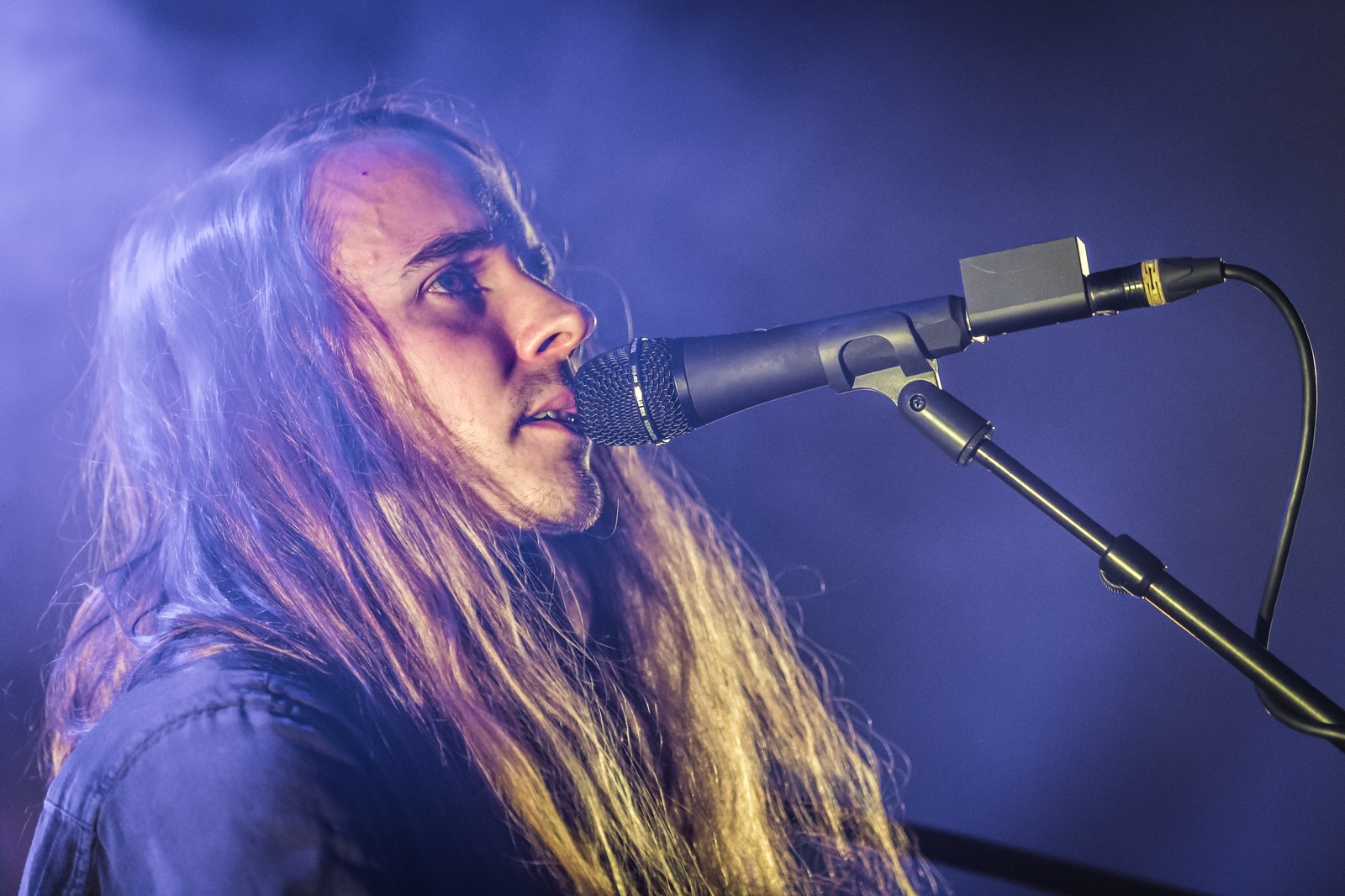 Andy Shauf