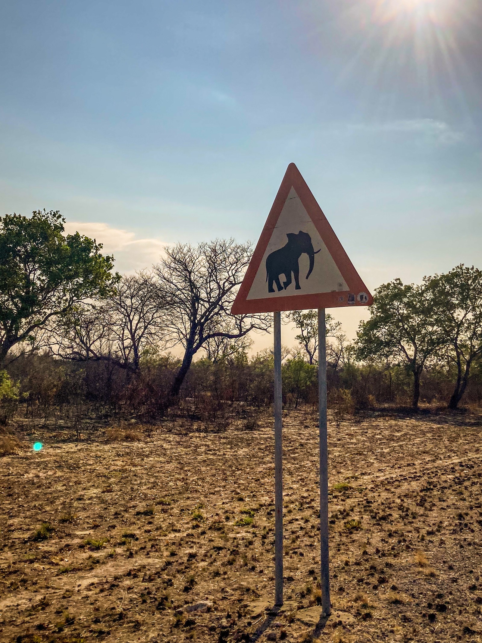 Watch out for Elephants