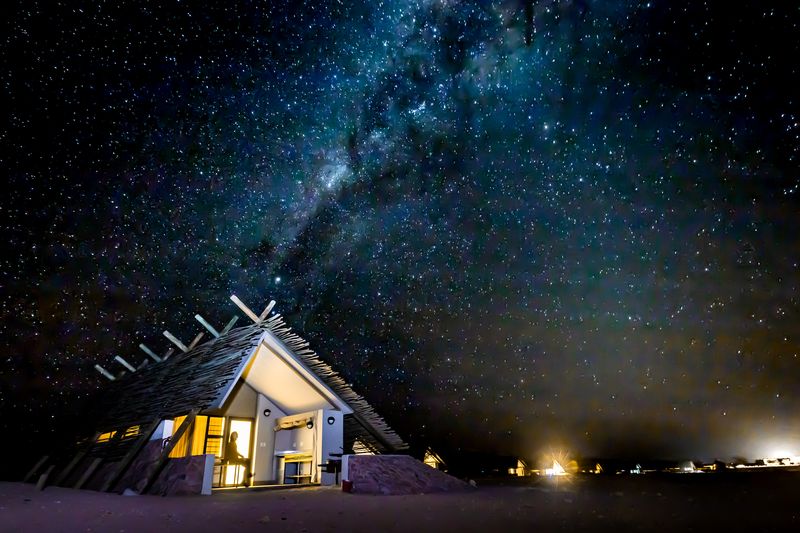 Desert Quiver Camp