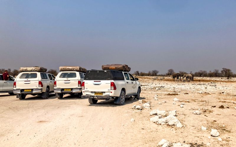 Etosha NP