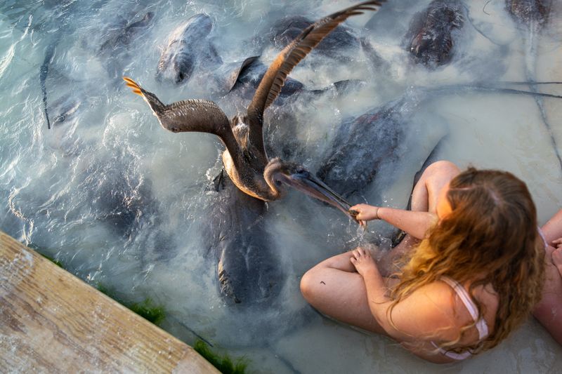 Stingray Beach