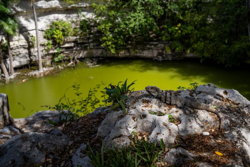 Chichen Itza
