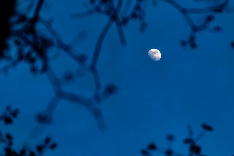 Moon